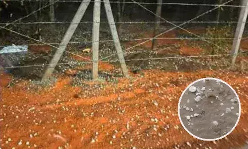 रायपुर समेत कई जिलों में तेज हवा के साथ गिरे ओले, किसानों की बढ़ी चिंता