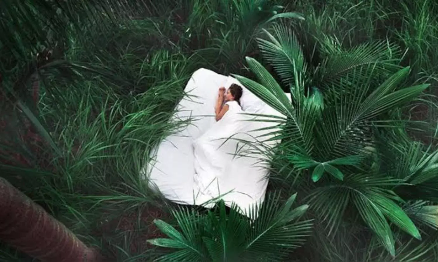 आखिर क्या होता है सोने वाला टूरिज्म, भारत में इन जगहों पर कर सकते हैं एक्सप्लोर