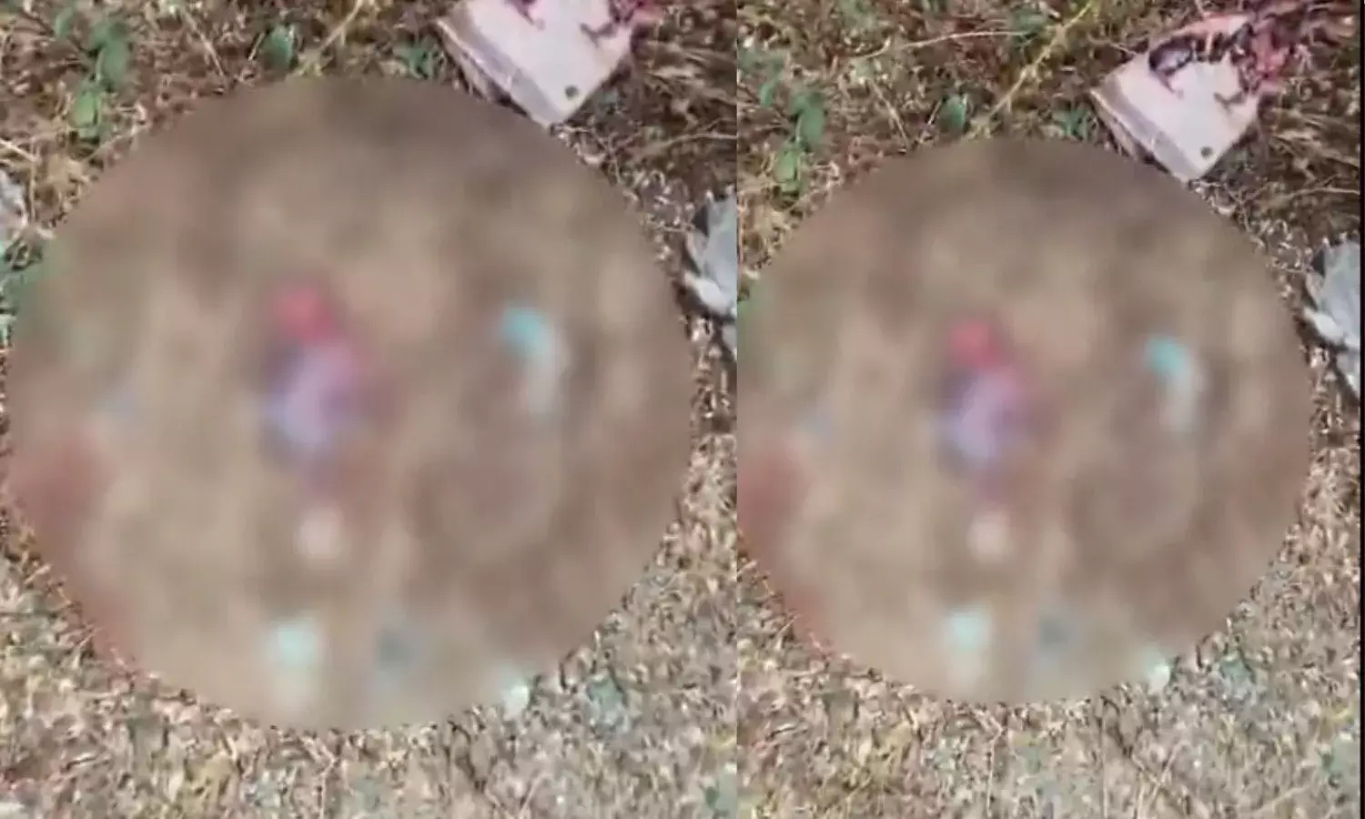 KS प्लाजा के पास झाड़ियों में मिला नवजात , जांच में जुटी शाहपुरा पुलिस KS प्लाजा के पास झाड़ियों में मिला नवजात , जांच में जुटी शाहपुरा पुलिस