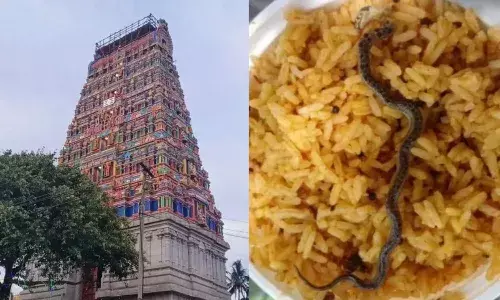 चंद्रचूड़ेश्वर मंदिर के प्रसाद में निकला सांप, श्रद्धालुओं को लगा झटका, सोशल मीडिया पर फोटो वायरल
