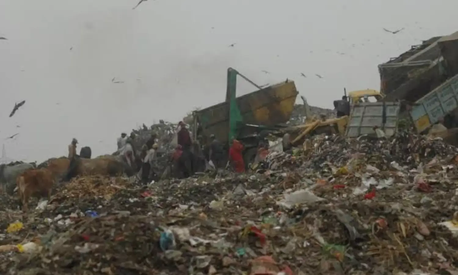 अदालत ने कहा आदमपुर डंपिंग साइट पर बार-बार आग, ठोस अपशिष्ट नियमों की अनदेखी