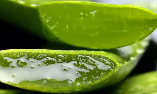 ऐलोवेरा में होते हैं कई फायदे, जानें इसकी पूरी डिटेल्स