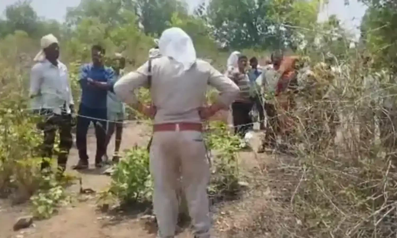 शहडोल में तेंदूपत्ता तोड़ने गए ग्रामीणों पर हाथियों का हमला, 3 की मौत, लोगों में आक्रोश