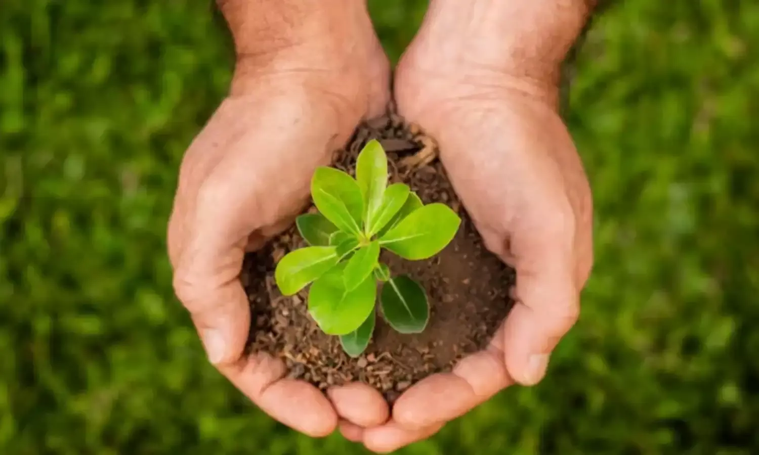 भारत में पर्यावरण संरक्षण और सांस्कृतिक चेतना, प्रधानमंत्री मोदी के नेतृत्व में एक हरित क्रांति