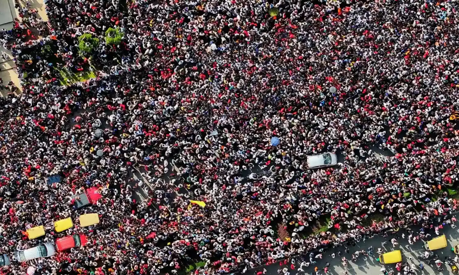 Bengaluru Stampede Bengaluru Stampede