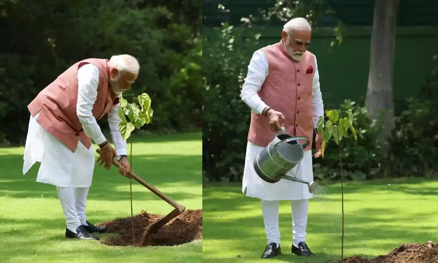 पीएम मोदी ने प्रधानमंत्री आवास पर लगाया सिंदूर का पौधा, कहा - यह नारीशक्ति के शौर्य का प्रतीक