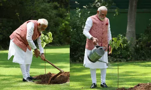 पीएम मोदी ने प्रधानमंत्री आवास पर लगाया सिंदूर का पौधा, कहा - यह नारीशक्ति के शौर्य का प्रतीक