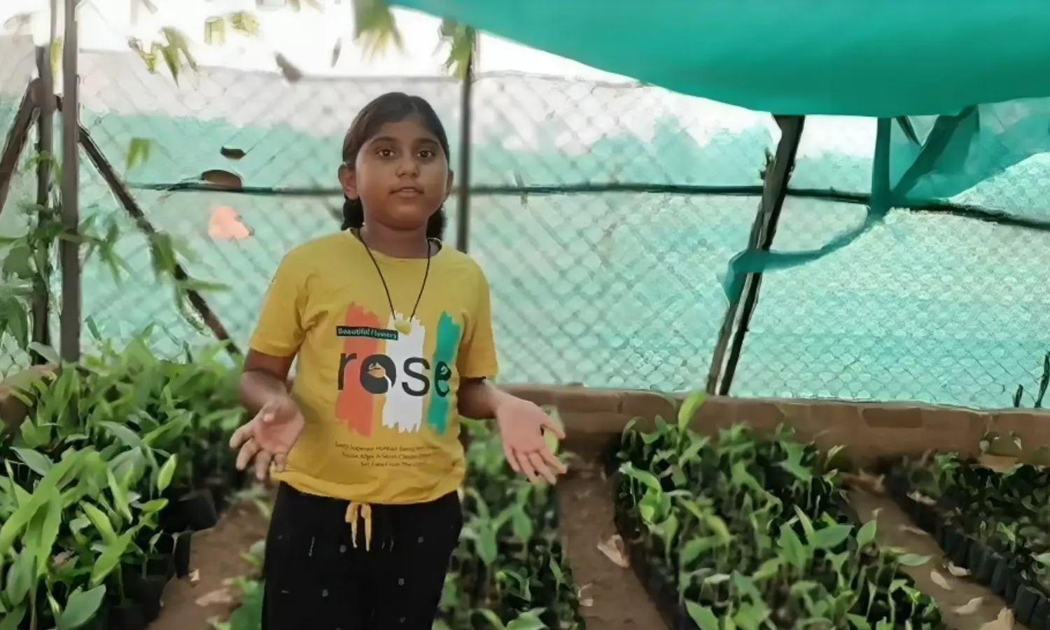 छोटी उम्र में किया बड़ा कमाल, 5वीं की छात्रा ने गर्मी की छुट्टियों में रोप डाले 2500 पौधे…