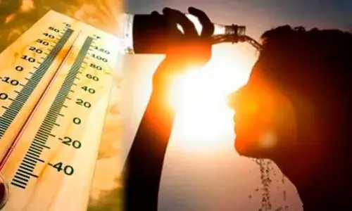 दिल्ली, राजस्थान, मध्य प्रदेश समेत 8 राज्यों में लू और गर्मी से बिगड़े हालत, जानिए कब मिलेगी राहत?