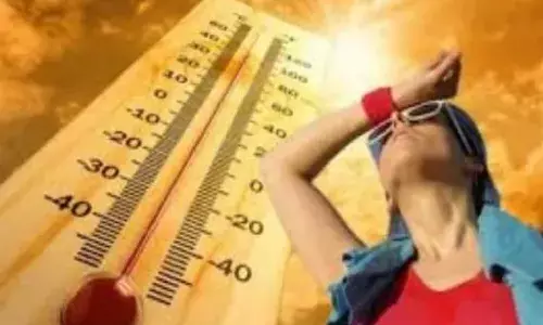 दिल्ली में गर्मी ने तोड़ा रिकॉर्ड, लू चलने के भी आसार, जानिए देश भर के मौसम का हाल