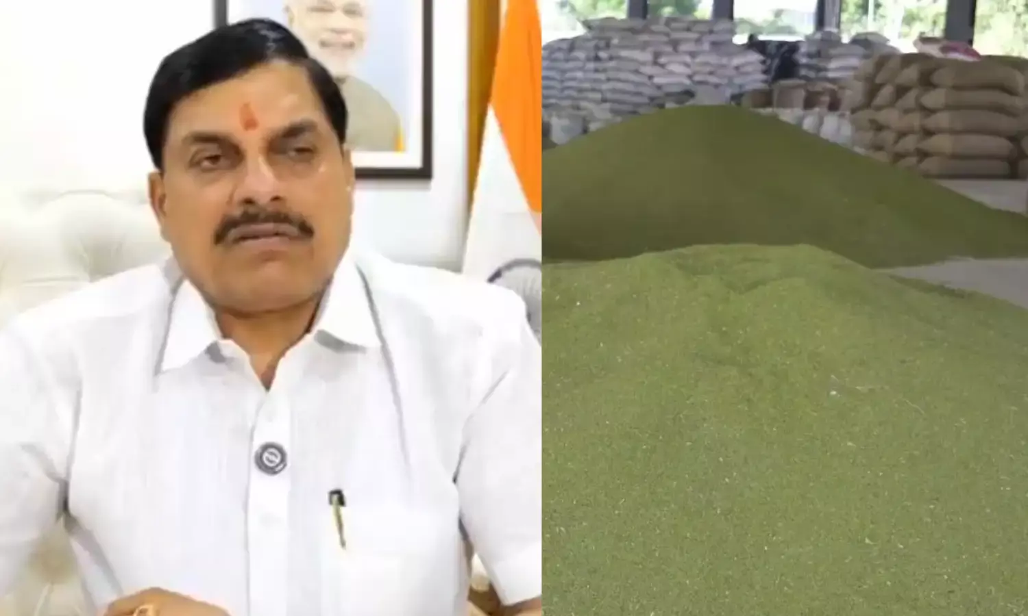 CM मोहन यादव का बड़ा फैसला, मूंग और उड़द की MSP पर खरीदी का पंजीयन 19 जून से होगा शुरू