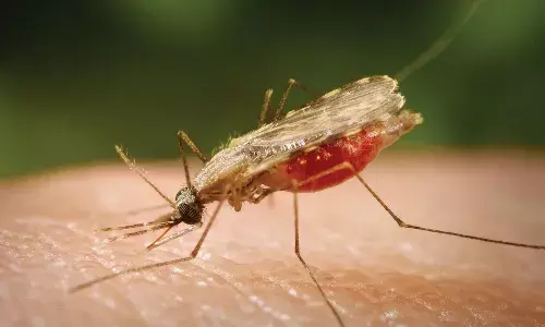 मलेरिया कंट्रोल करने अब शहर के बाद गांव में जाएंगे वॉलिंटियर