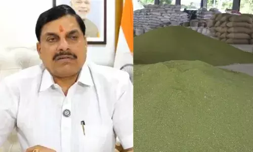 CM मोहन यादव का बड़ा फैसला, मूंग और उड़द की MSP पर खरीदी का पंजीयन 19 जून से होगा शुरू CM मोहन यादव का बड़ा फैसला, मूंग और उड़द की MSP पर खरीदी का पंजीयन 19 जून से होगा शुरू