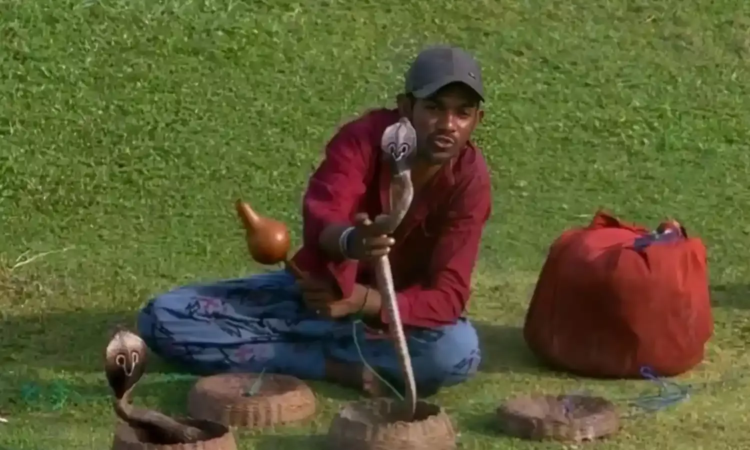 टेस्ट मैच के बीच स्टेडियम में घुसा सपेरा, दो नाग और बंदर देख चौंके दर्शक