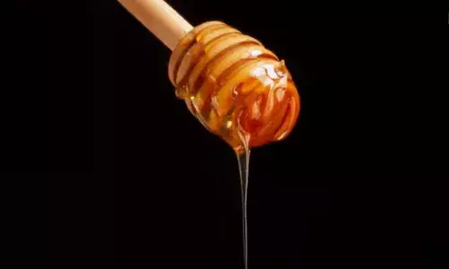 रोज सुबह 1 चम्मच शहद में मिलाएं काली मिर्च, ये बीमारियां रहेंगी दूर