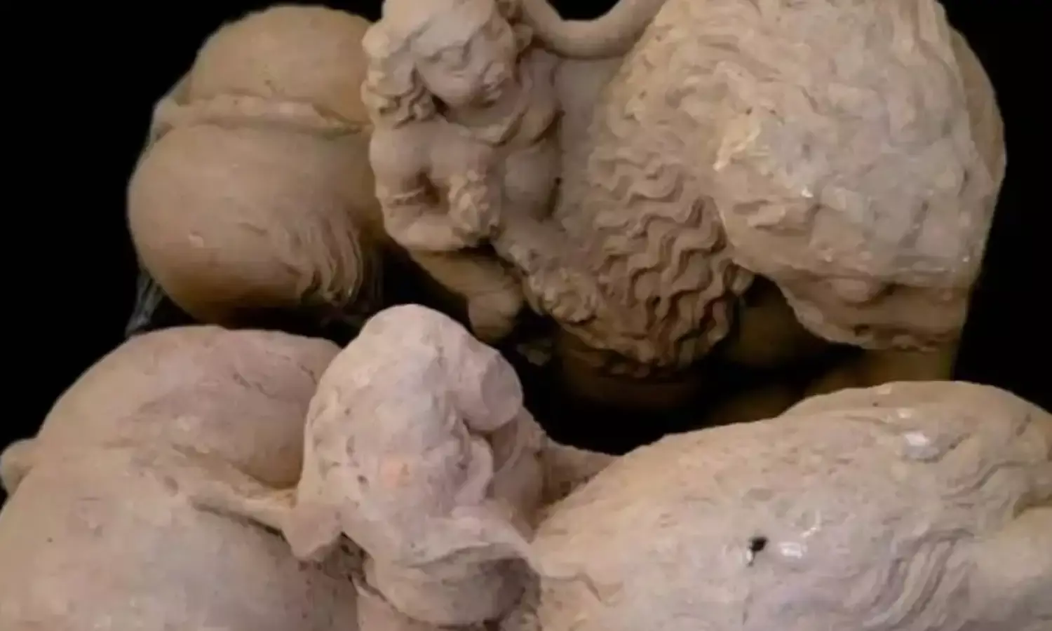 देवी की शेर पर सवारी वाली प्रतिमा ने किया चौंकाने वाला खुलासा…