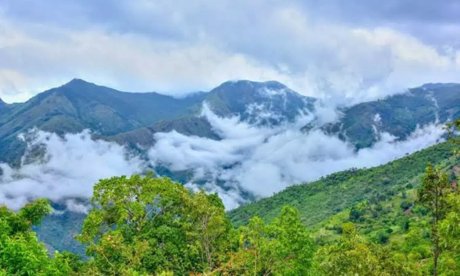 बारिश के मौसम में तमिलनाडु के इस हिल स्टेशन को घूमने का करें प्लान, मिलेगा बेहद सुहावना एहसास