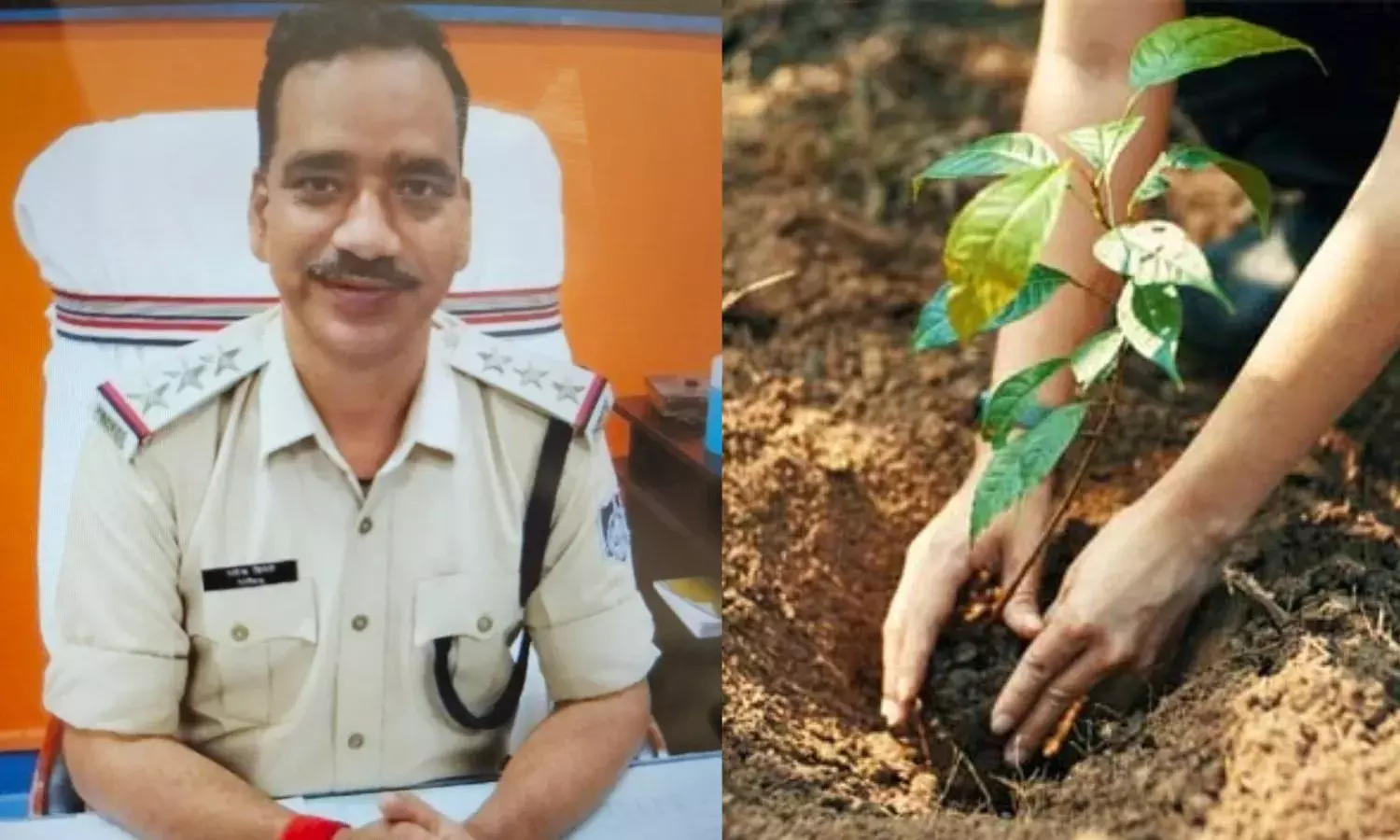 कोतवाली टीआई को मिली अनोखी सजा: एक साल में लगाने होंगे 1000 फलदार पौधे, देखरेख की जिम्मेदारी भी सौंपी...