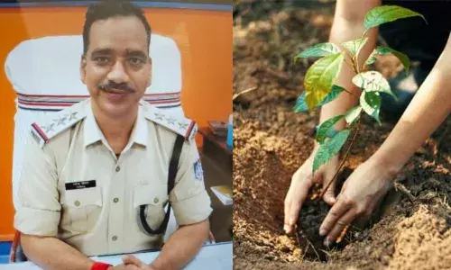 कोतवाली टीआई को मिली अनोखी सजा: एक साल में लगाने होंगे 1000 फलदार पौधे, देखरेख की जिम्मेदारी भी सौंपी...