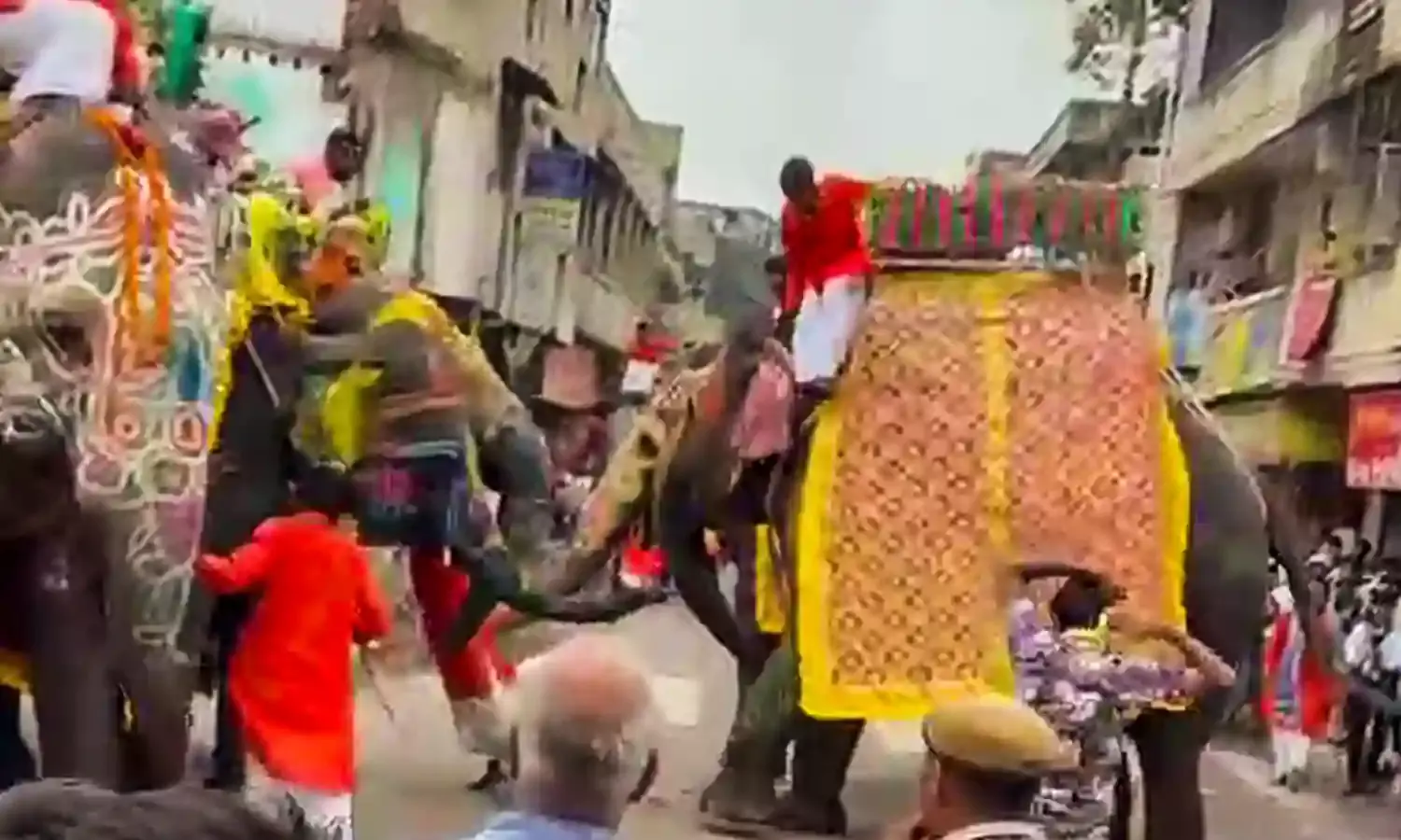 Ahmedabad Elephant Viral Video