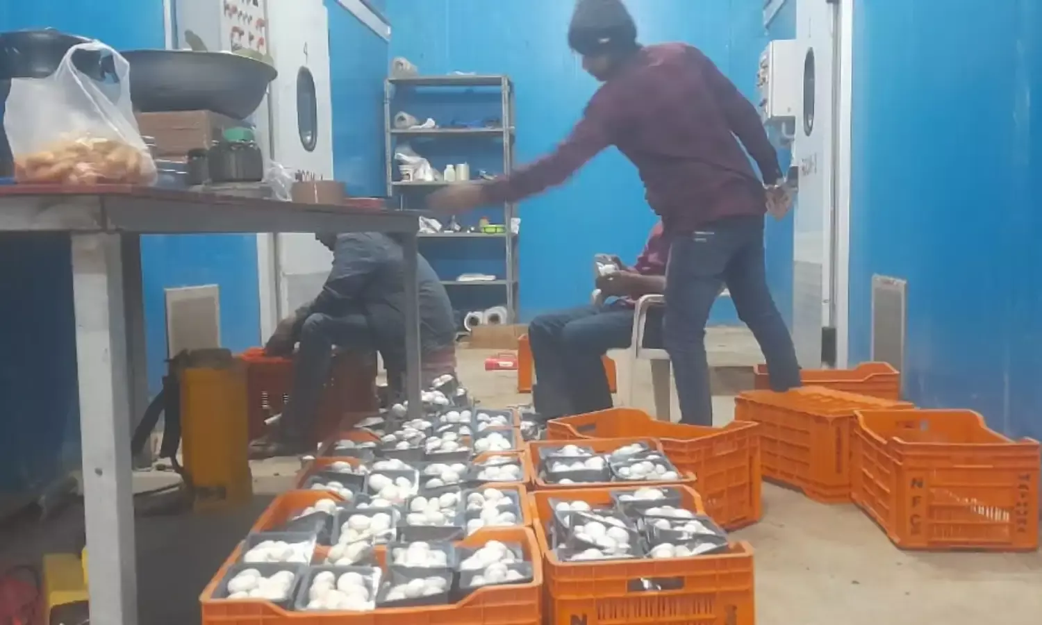 राजधानी समेत 8 जिलों में प्रॉफिटेबल बिजनेस ने पकड़ी रफ्तार…