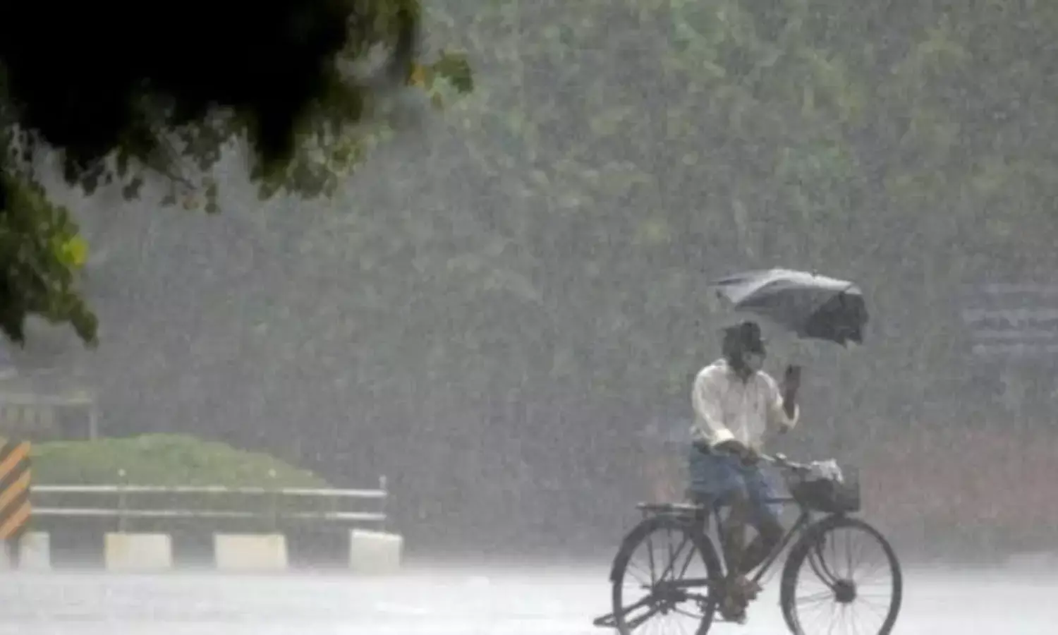 यूपी, बिहार, मध्य प्रदेश समेत कई राज्यों में भारी बारिश के संकेत, जानिए आपके यहां कैसा रहा मौसम?