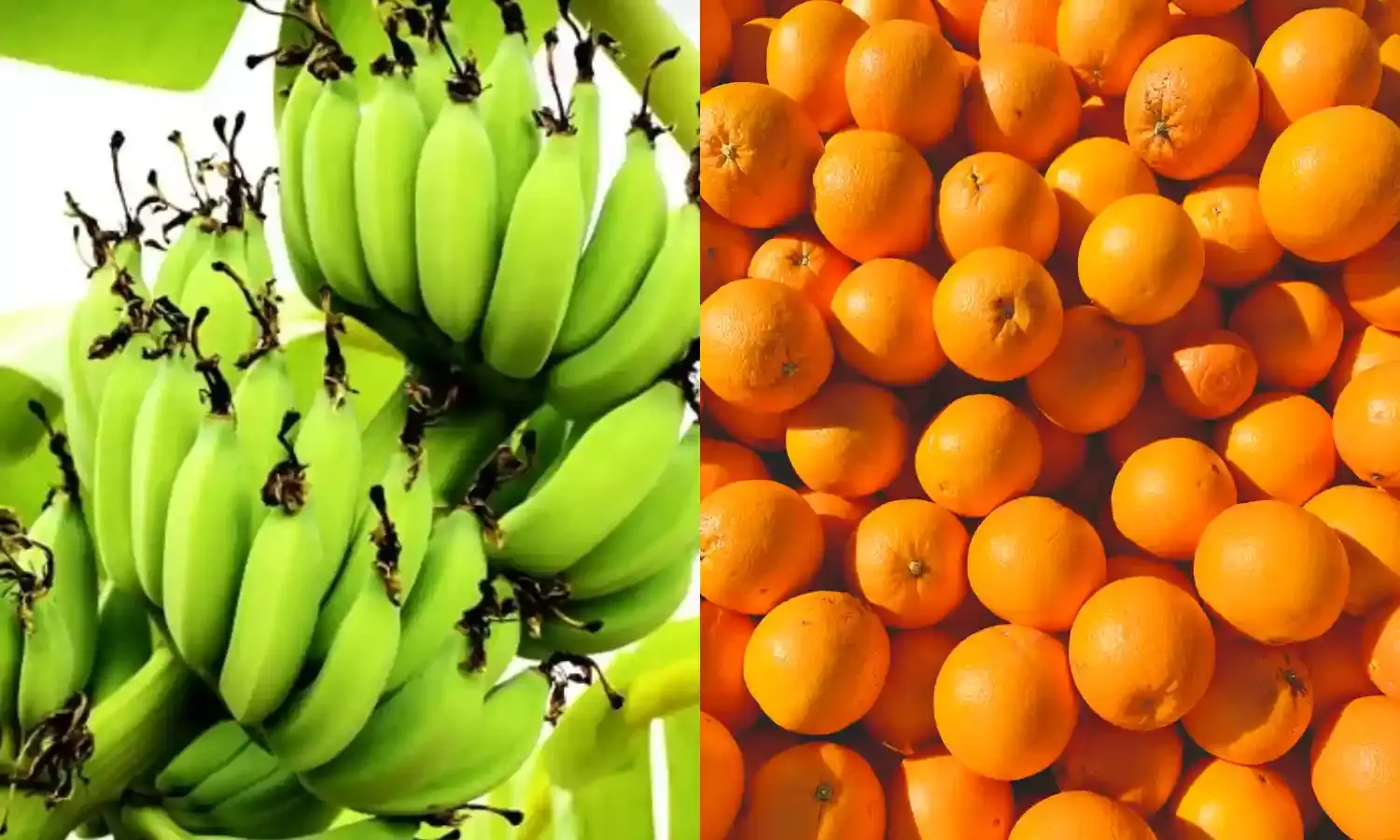 चीन ने विशेष फर्टिलाइजर के भारत निर्यात पर लगाई रोक…