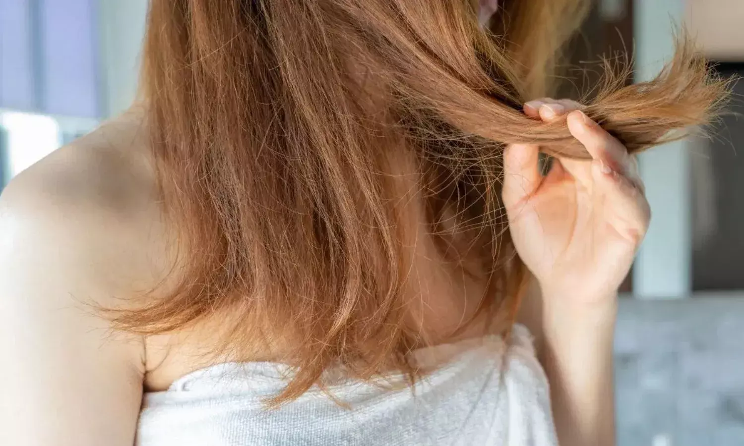 बारिश में बाल हो गए बेजान? जरूर आजमाएं ये 3 हर्बल शैम्पू