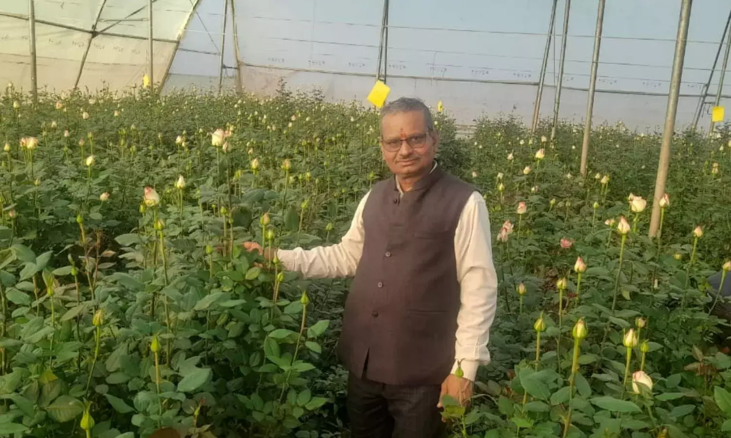 किसानों को निर्यात के लिए किया जा रहा है तैयार