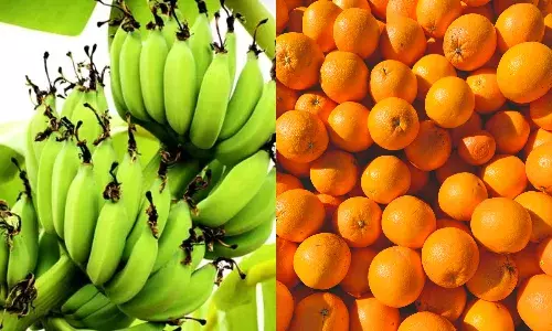 चीन ने विशेष फर्टिलाइजर के भारत निर्यात पर लगाई रोक…