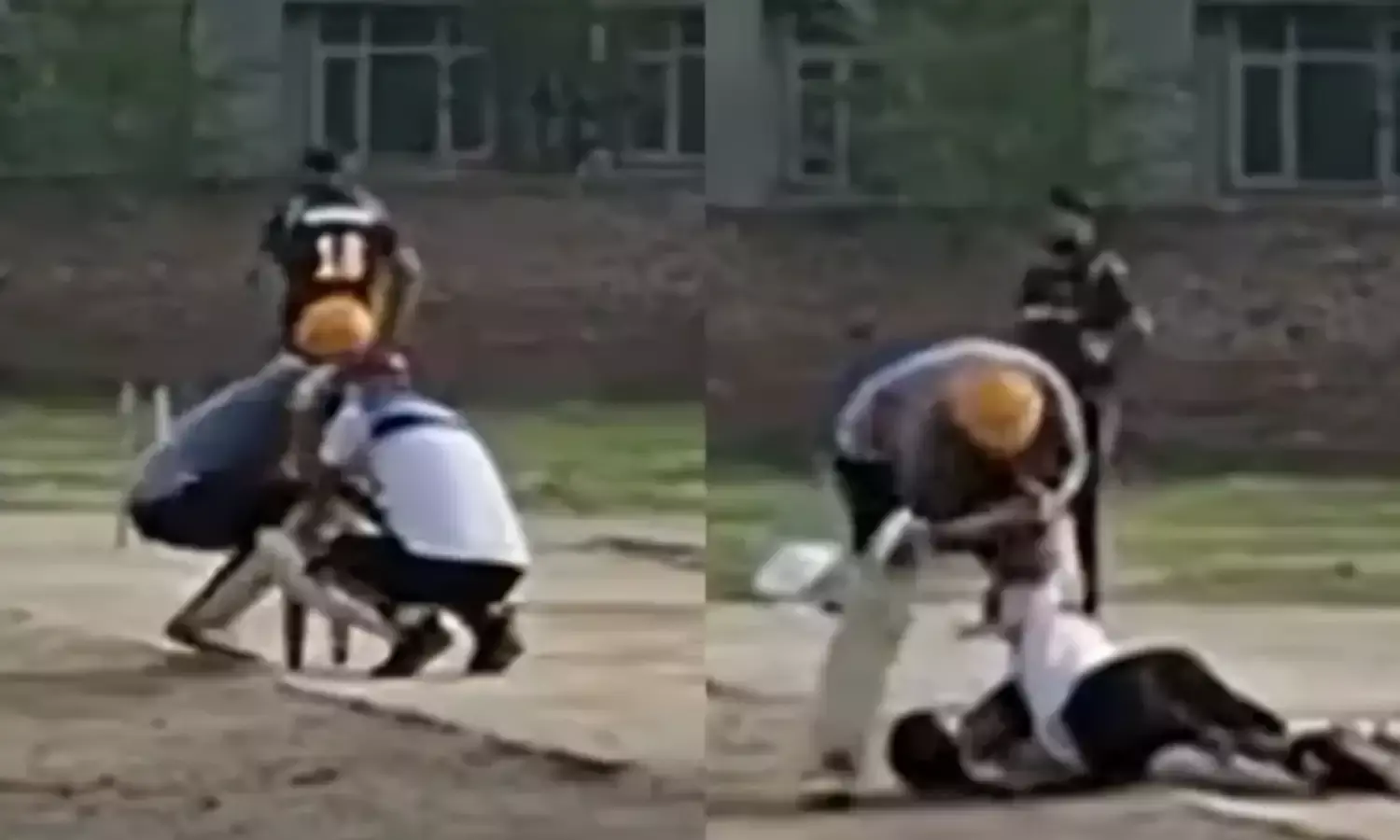 वायरल क्रिकेट वीडियो