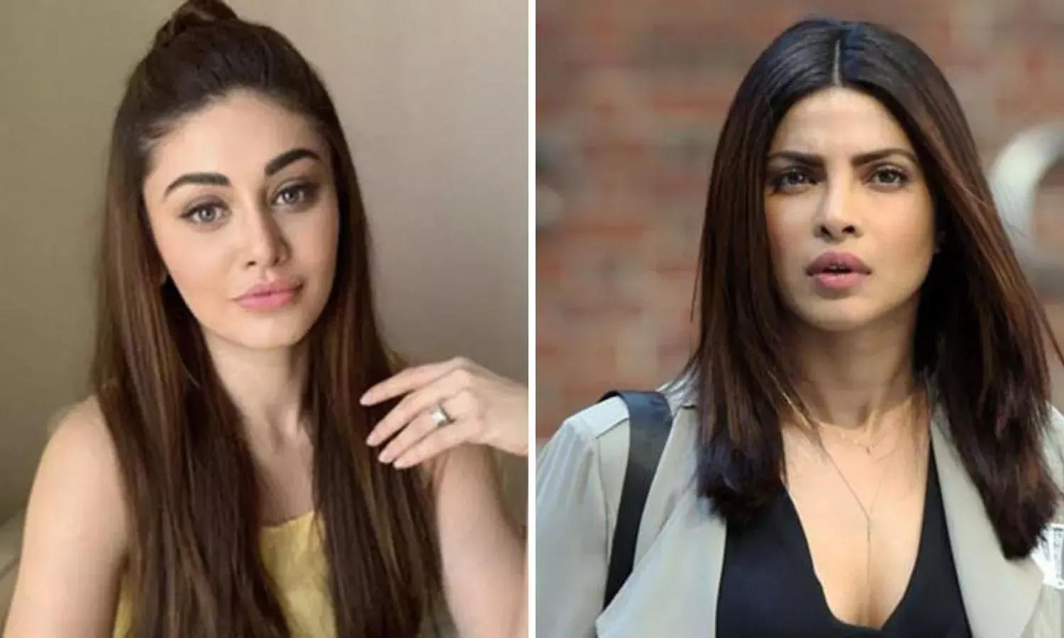 एक्ट्रेस शेफाली जरीवाला के निधन पर इमोशनल हुई प्रियंका चोपड़ा, स्टोरी शेयर कर कही बात