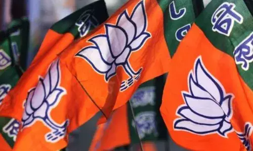 मप्र भाजपा के नए अध्यक्ष का निर्वाचन 2 जुलाई को, कल आएंगे प्रधान…