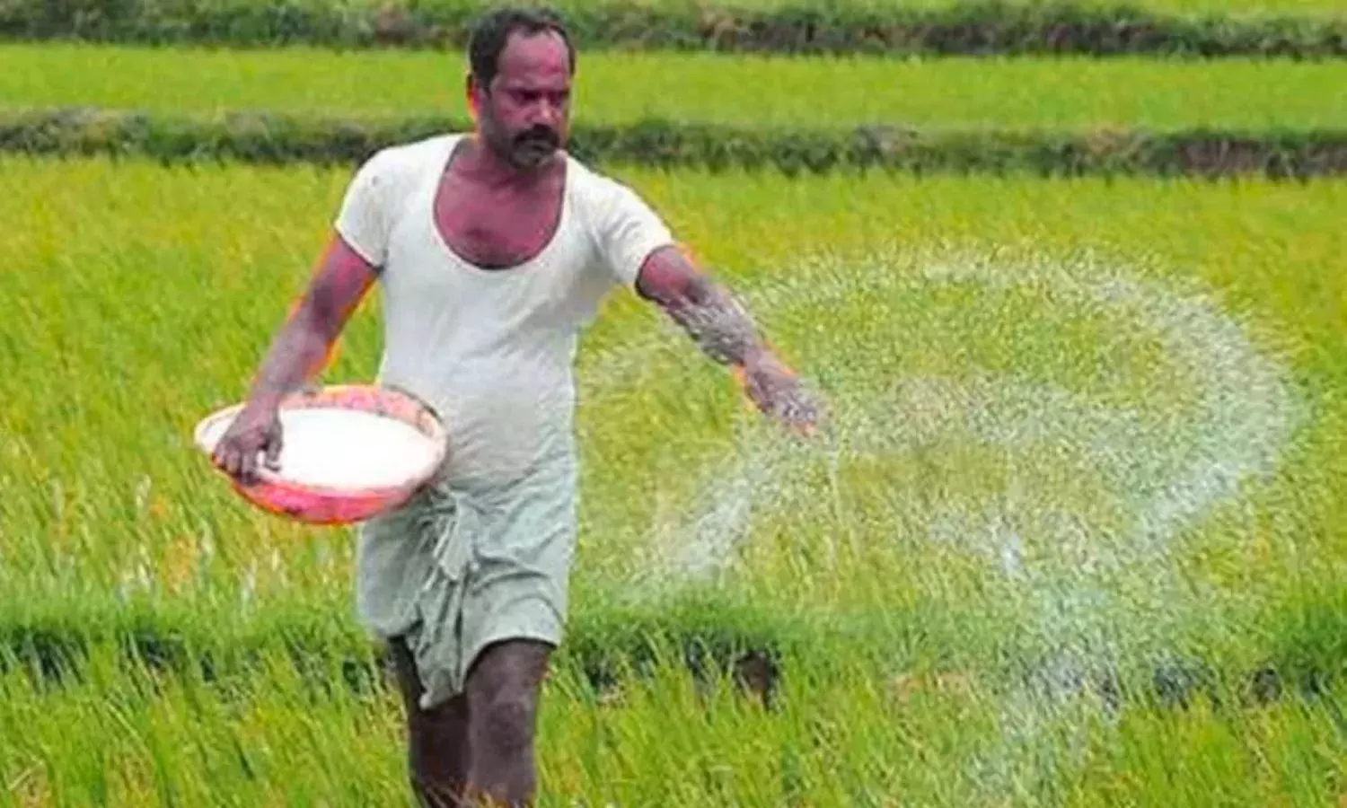 डीएपी की कमी को एनपीके और एसएसपी से करेंगे पूरा