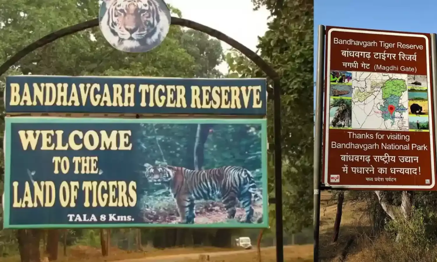 Bandhavgarh Tiger Reserve