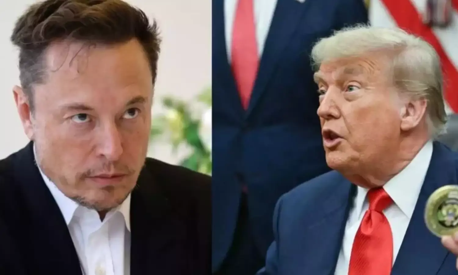 अब अमेरिका में डोनाल्ड ट्रंप को टक्कर देंगे एलन मस्क, नई राजनीतिक पार्टी बनाने का किया ऐलान