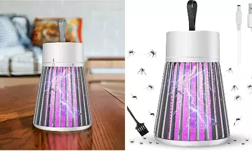 क्या है Mosquito Killer Lamp, जो बारिश में मच्छरों के आतंक को करते हैं कंट्रोल