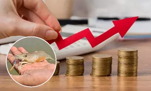 आत्मनिर्भरता और समृद्धि की नई राह, ग्रामीण अर्थव्यवस्था को मिलेगा बल