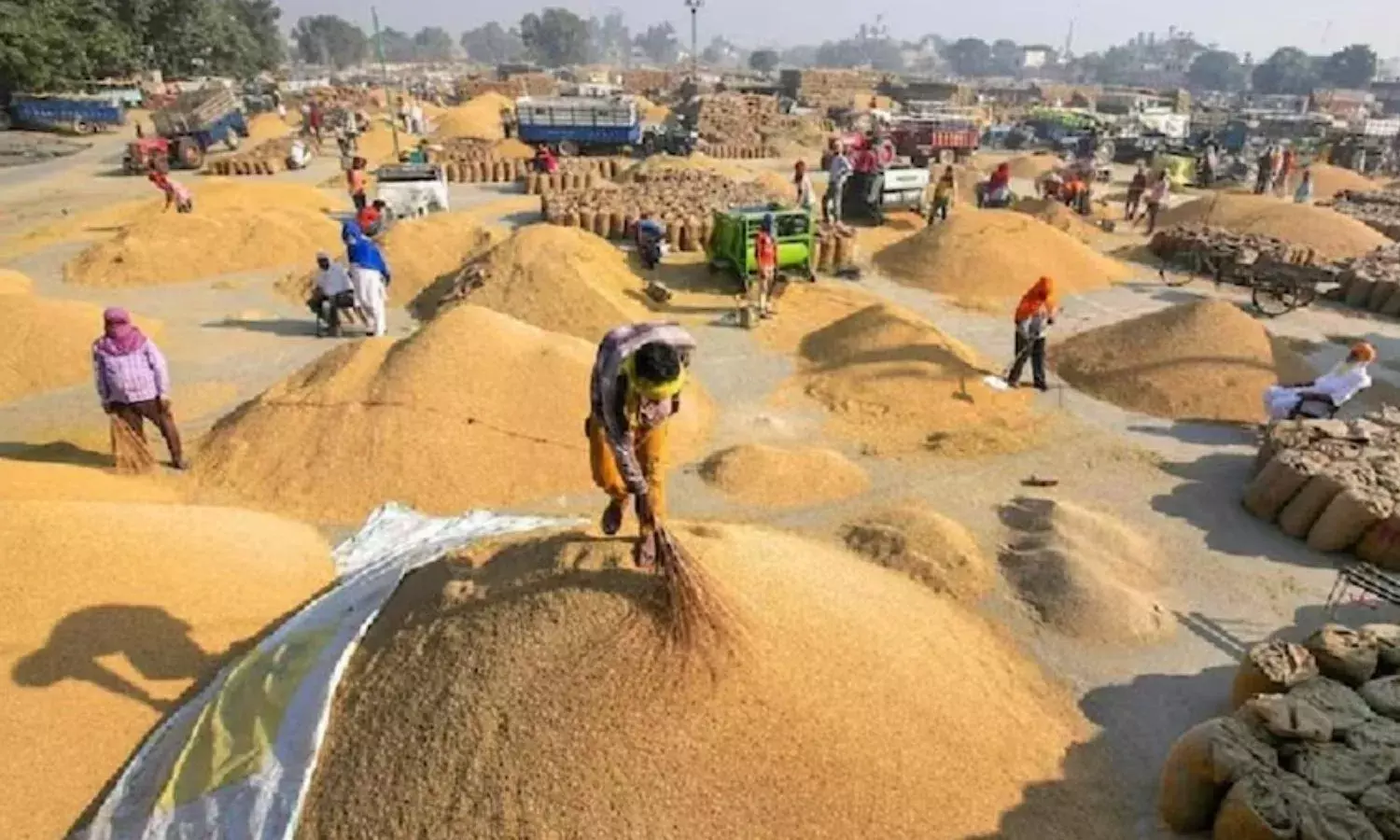 धान खरीदी का अनुमान 70 से बढ़ाकर 78 लाख मीट्रिक टन, केंद्र का बड़ा फैसला