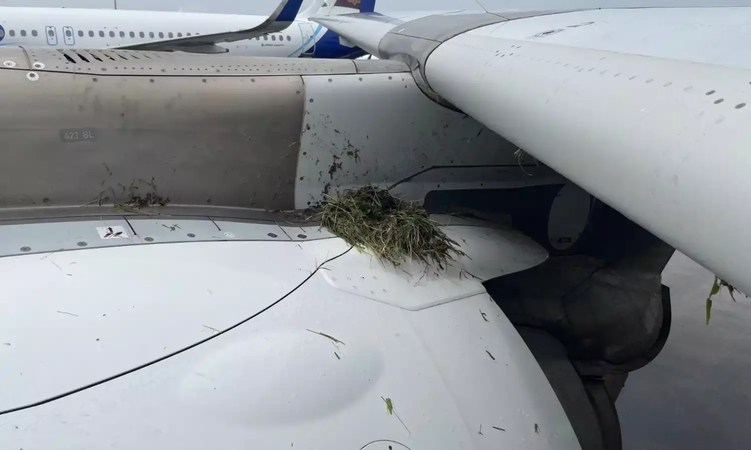 मुंबई एयरपोर्ट पर रनवे पर फिसला एयर इंडिया का विमान, तीन टायर फटे...