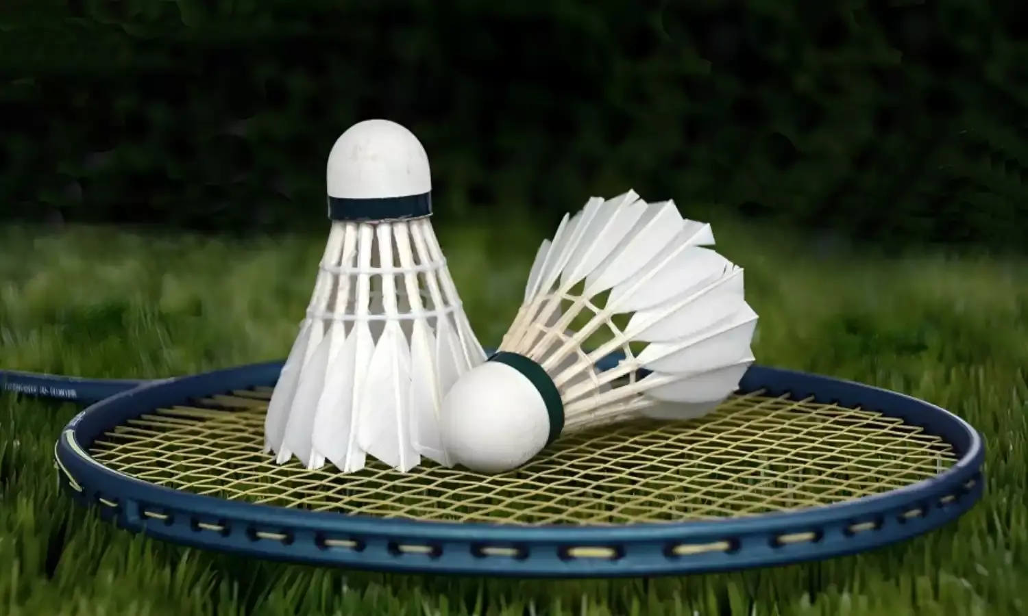 वर्ल्ड यूनिवर्सिटी गेम्स से भारत के 6 बैडमिंटन खिलाड़ी बैन, जर्मनी में बड़ा विवाद, जानें पूरा कारण वर्ल्ड यूनिवर्सिटी गेम्स से भारत के 6 बैडमिंटन खिलाड़ी बैन, जर्मनी में बड़ा विवाद, जानें पूरा कारण