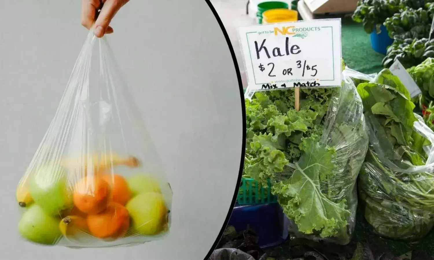 फ्रिज में प्लास्टिक की थैलियों में सब्जियां रखना पड़ सकता है भारी, रिसर्च में बड़ा खुलासा