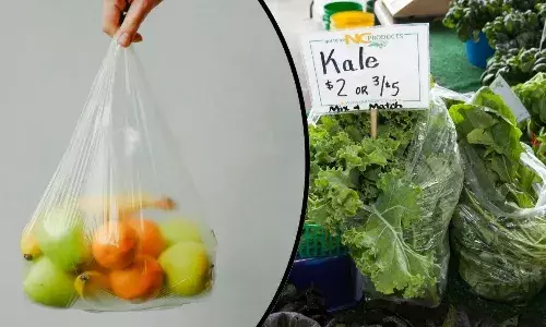 फ्रिज में प्लास्टिक की थैलियों में सब्जियां रखना पड़ सकता है भारी, रिसर्च में बड़ा खुलासा