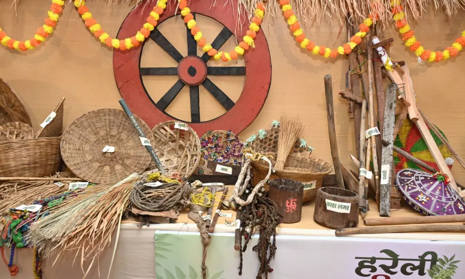 छत्तीसगढ़ के पहले उत्सव पर इन पारंपरिक कृषि यंत्रों की होती है पूजा