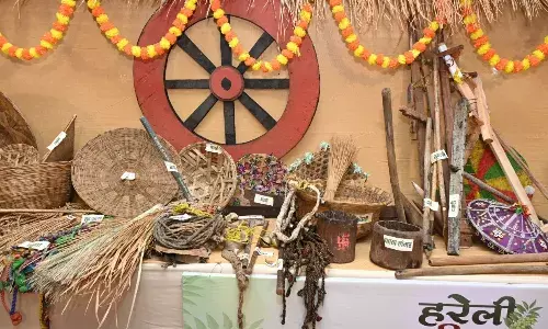 छत्तीसगढ़ के पहले उत्सव पर इन पारंपरिक कृषि यंत्रों की होती है पूजा