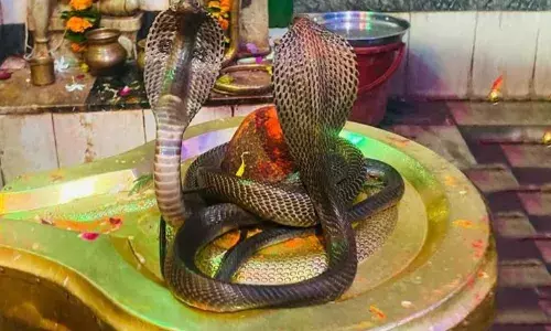 इस साल कब मनाई जाएगी नाग पंचमी? जान लें तिथि से लेकर पूजा विधि तक सारी जानकारियां