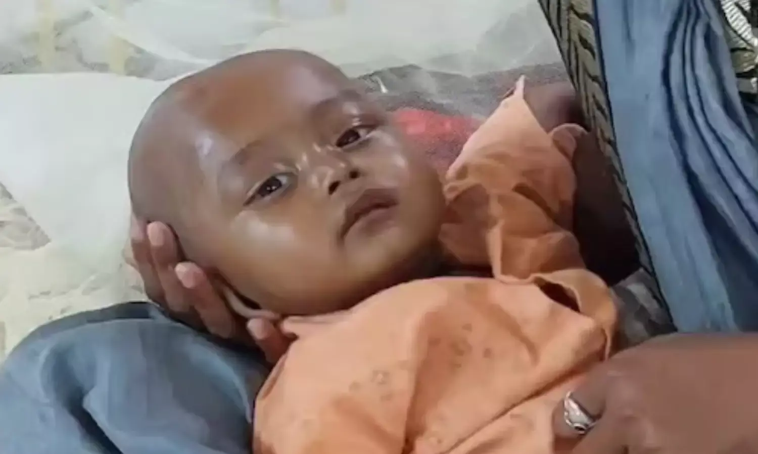 शासन को नोटिस, जिला कलेक्टर्स को रिपोर्ट स्टेटस रिपोर्ट बनाने के लिए चार हफ्ते का समय