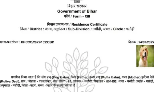 डॉग बाबू को मिला निवास प्रमाणपत्र, सोशल मीडिया पर मचा बवाल