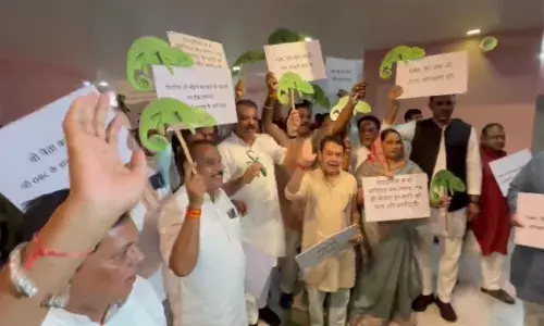 OBC आरक्षण के मुद्दे पर कांग्रेस का प्रदर्शन, गिरगिट के पोस्टर लेकर पहुंचे विधायक