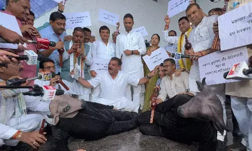 उमंग सिंघार ने भैंस के आगे बजाई बीन, सरकार पर मुद्दों की सुनवाई न करने का आरोप